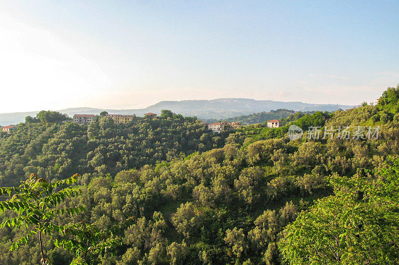 意大利巴伦西亚Vibo的乡村社区Serra San Bruno Calabria。生机勃勃的树木和农场。从以上观点。